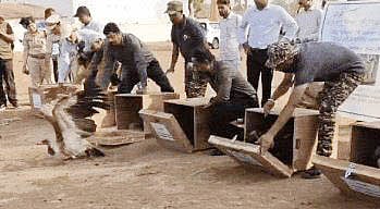 Bhopal News: Van Vihar Opts For Cautious Vulture Release After Failed Attempt