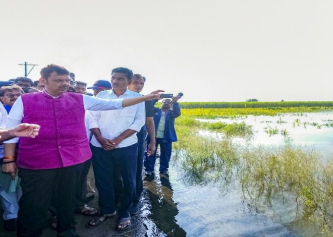 "People who have suffered losses will be compensated before Diwali": CM Fadnavis