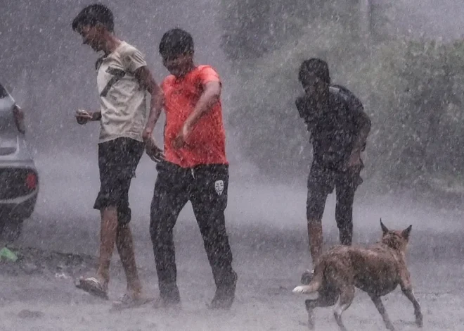 Flood-like situation after heavy rains in three Marathwada districts