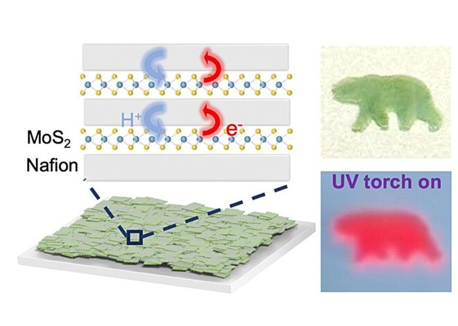 UCLA scientists create stretchable material for future photonic devices