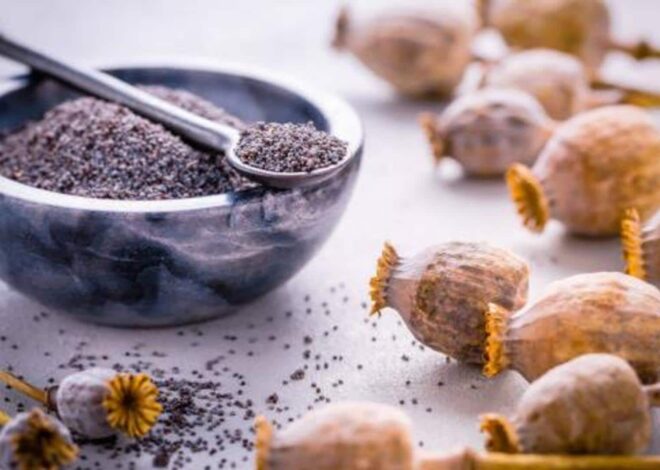 Poppy seeds in cooking: 5 recipes to try