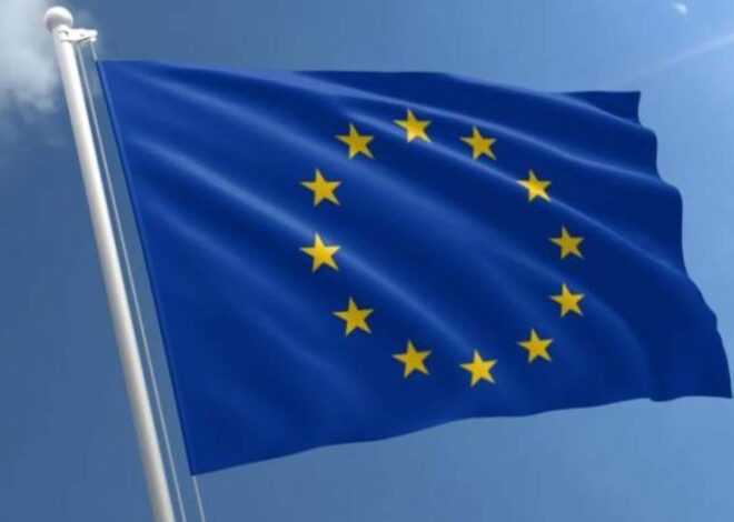 EU wants to know how Apple, Google are tackling e-scams
