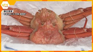 Kasumi Celebrates Crab Season
