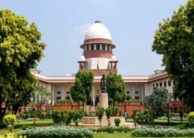 Defamation Law Under Scrutiny