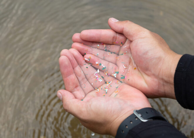 How many microplastics are you drinking? New study finds which types of drinks have highest concentration