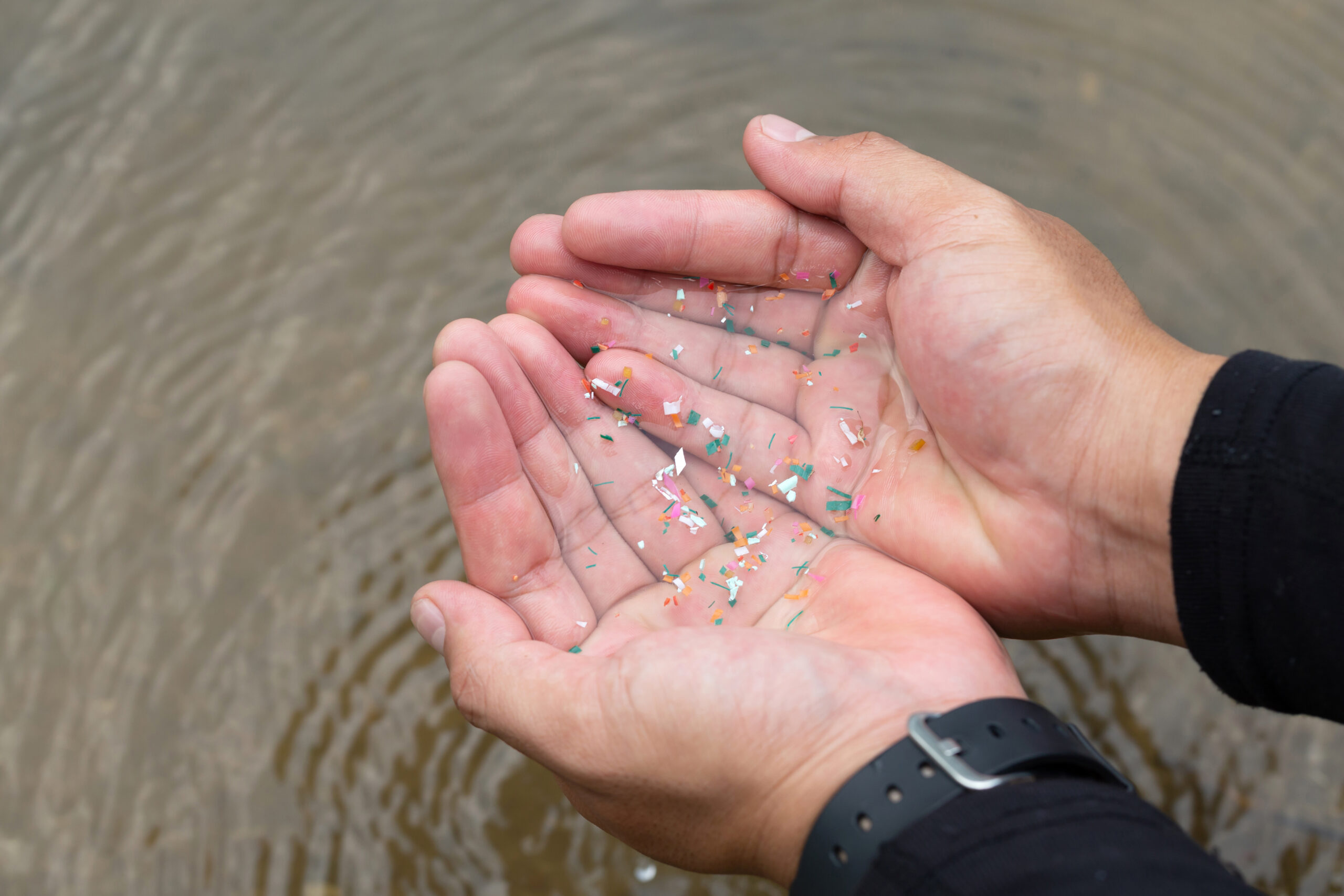 How many microplastics are you drinking? New study finds which types of drinks have highest concentration