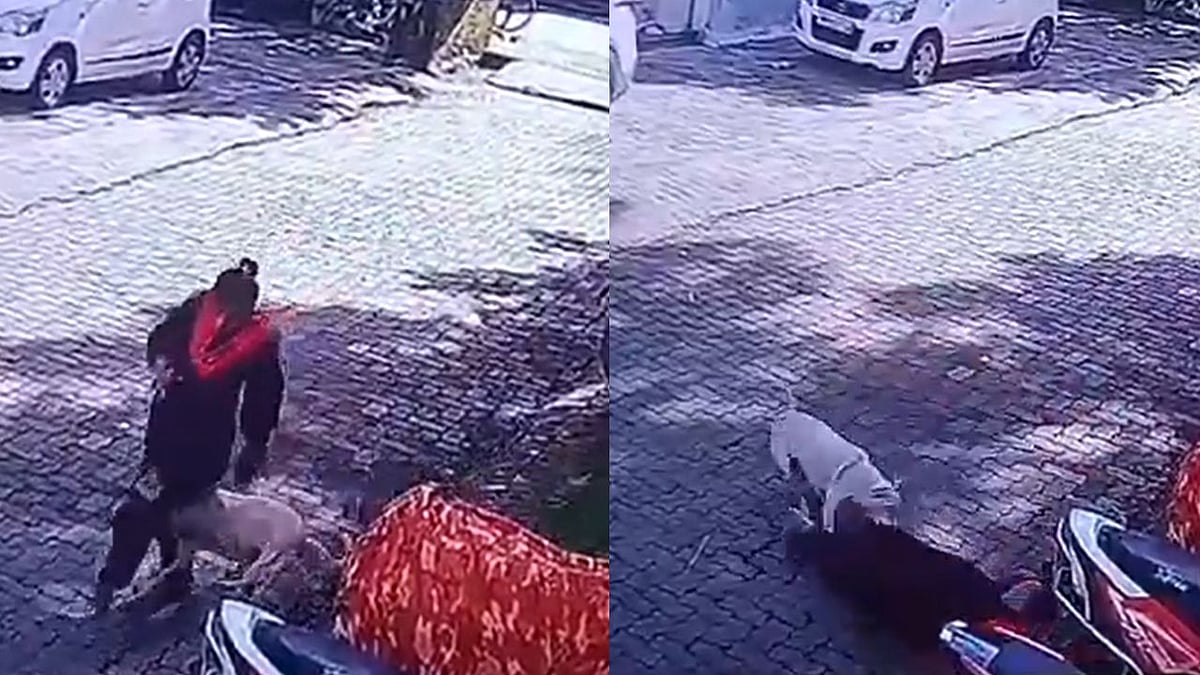 Mumbai News: Woman Attacked By Stray Dog In Borivali’s Old MHB Colony; Video