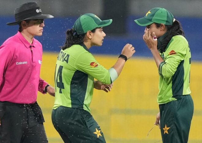 Insects stop play – but can’t halt India in World Cup