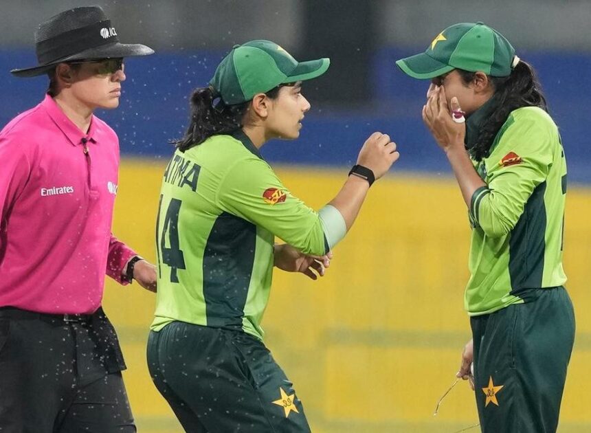 Insects stop play – but can’t halt India in World Cup