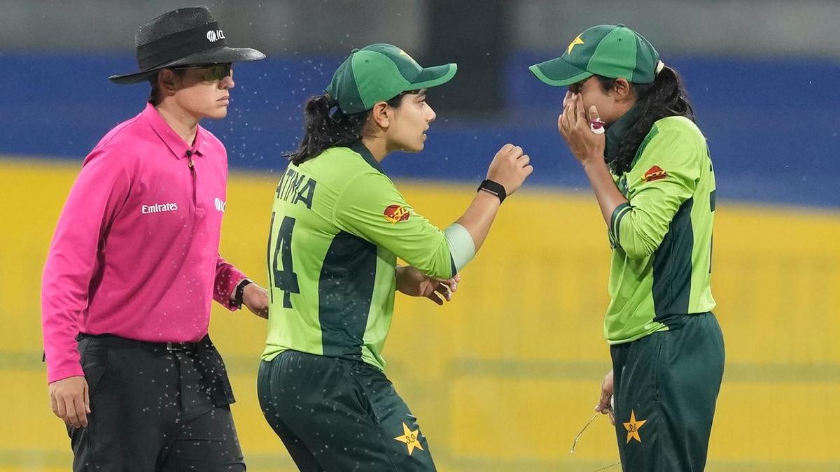 Insects stop play – but can’t halt India in World Cup
