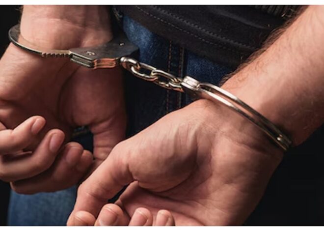 Bhopal News: Banned Meat Seized From SUV, Driver Arrested