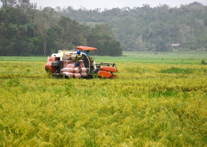 DA seeks doubling of crop insurance subsidy to P8B