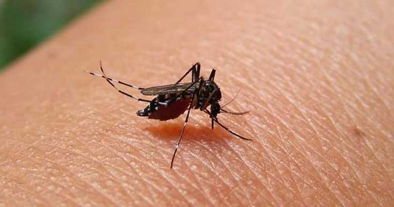 ডেঙ্গুতে আরও তিনজনের মৃত্যু, হাসপাতালে ভর্তি ৮৫৭