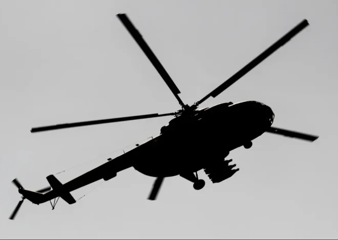 Beachgoers witness helicopter crash into palms in Southern California
