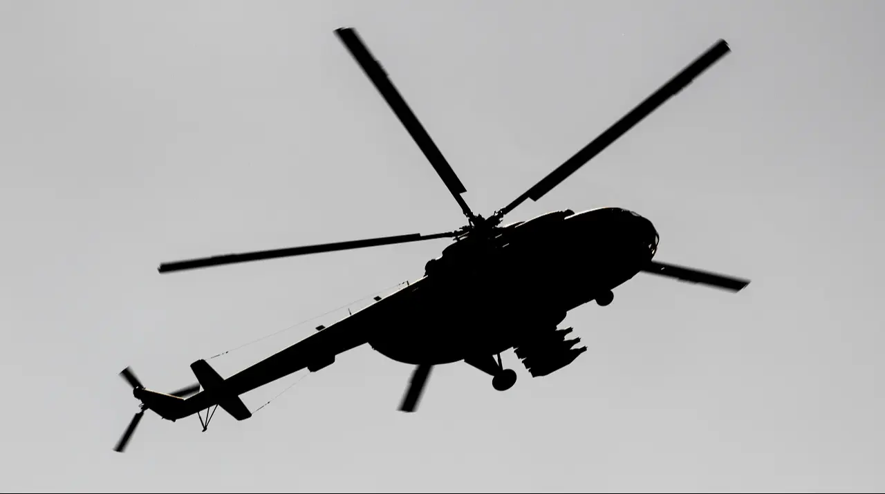 Beachgoers witness helicopter crash into palms in Southern California