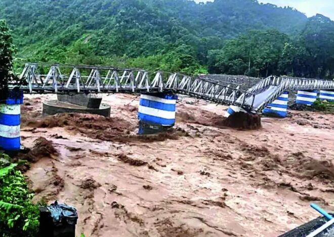 ‘Rhinos drown…roads turn rivers’: Bengal floods leave trail of destruction