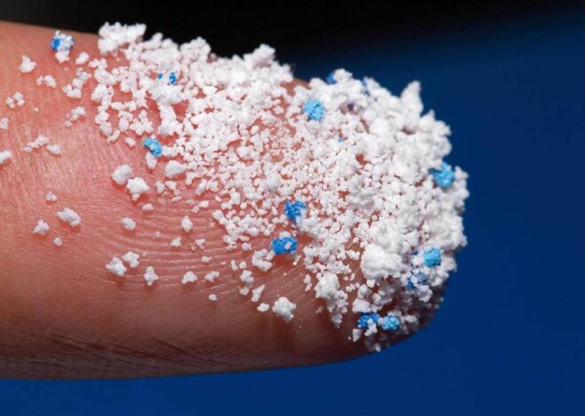 How microplastics are affecting our mind and body