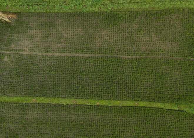 Maharashtra Govt Fixes Timeline For Mutation in Land Acquisition Cases