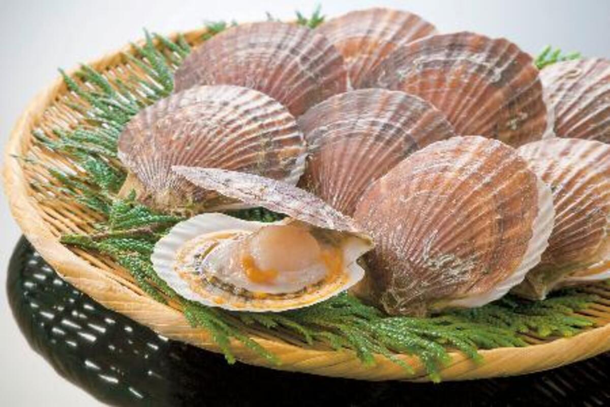 東北のホタテ養殖、猛暑でピンチ 水温27度限界、政府支援の方針